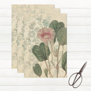 Vintage Floral Botanical Tissue Paper