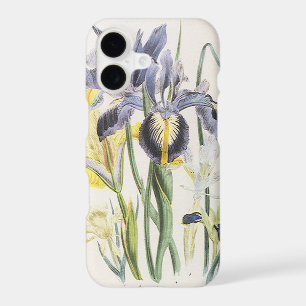 Vintage Floral Botany, Garden Iris Flowers