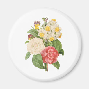 Vintage Floral Camelia Daffodil Flowers by Redoute Magnet