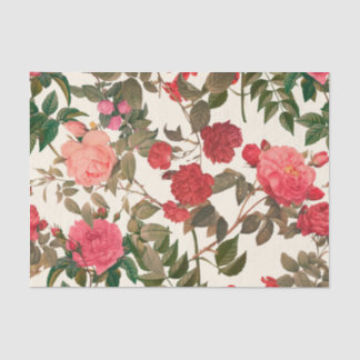 Vintage Floral Cream Pink Rose Garden Tissue Paper