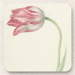 Vintage Floral Fine Art: Pink and White Tulip Coaster