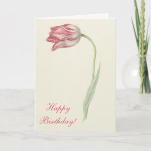 Vintage Floral Fine Art Pink Tulip - Birthday Card