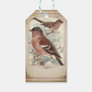 Vintage Floral Framed Bird Scrapbook  Gift Tags