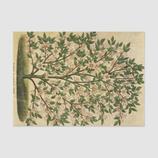 Vintage Floral Green Tree Decoupage Tissue Paper (Front)