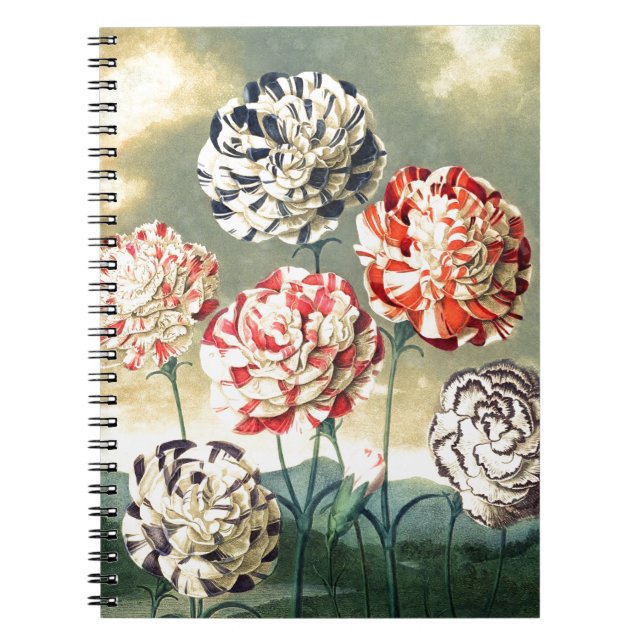 Vintage Floral Illustrations Notebook (Front)