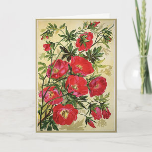 Vintage Floral Poppies Birthday Greeting Card