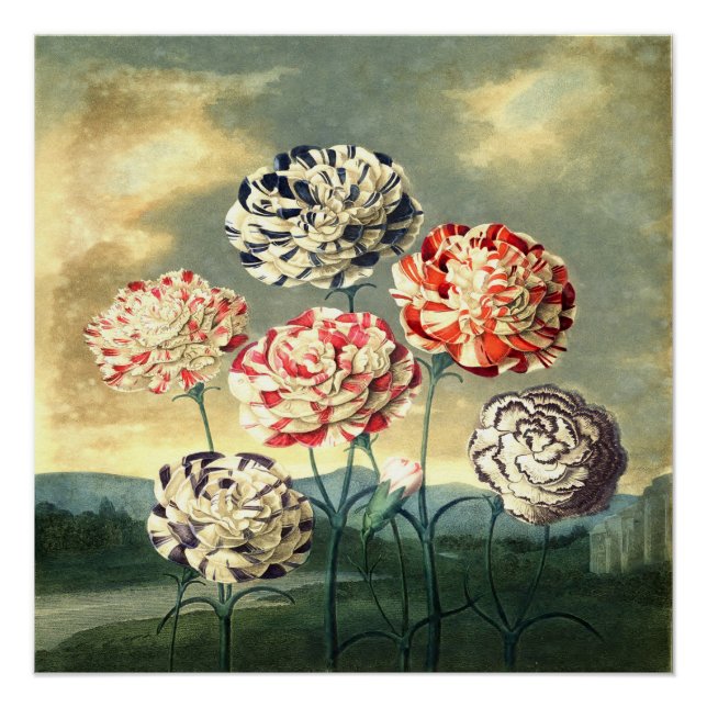 Vintage Floral Poster (Front)