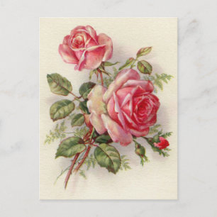 Vintage floral rose elegant postcard