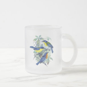 Vintage Floral Songbirds Apparel and Gifts Frosted Glass Coffee Mug