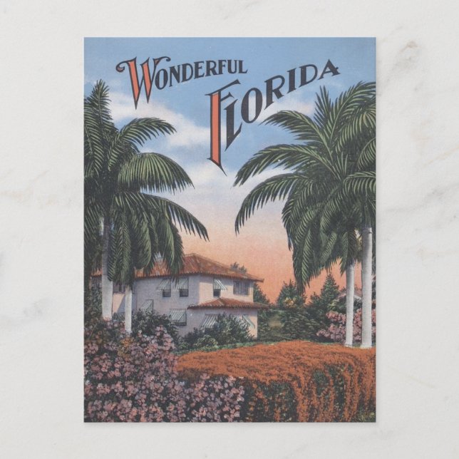 Vintage Florida Brochure Postcard (Front)