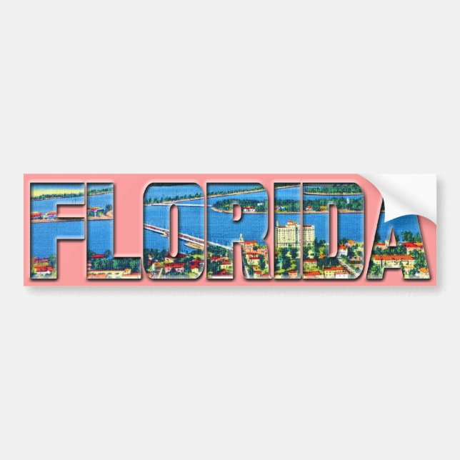 Vintage Florida Bumper Sticker (Front)