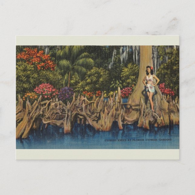Vintage Florida Cypress Gardens Postcard (Front)