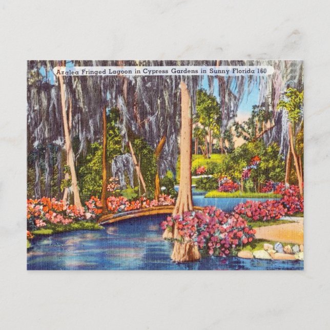 Vintage Florida Cypress Gardens Travel Postcard (Front)
