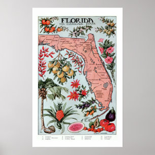Vintage Florida Everglade State Fruit and Flowers  Poster