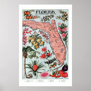 Vintage Florida Everglade State Fruit and Flowers  Poster