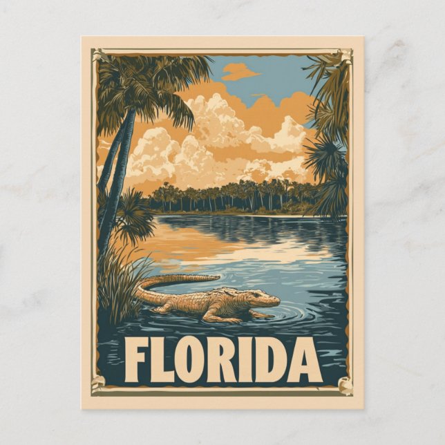 Vintage Florida Everglades Alligator Travel Postcard (Front)
