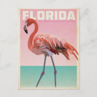 Vintage florida flamigo travel postcard