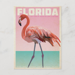 Vintage florida flamigo travel postcard