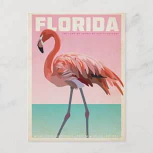 Vintage Florida Flamingo Postcard
