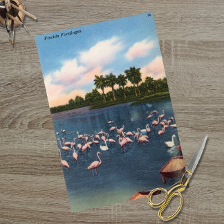 Vintage Florida Flamingos Tissue Paper