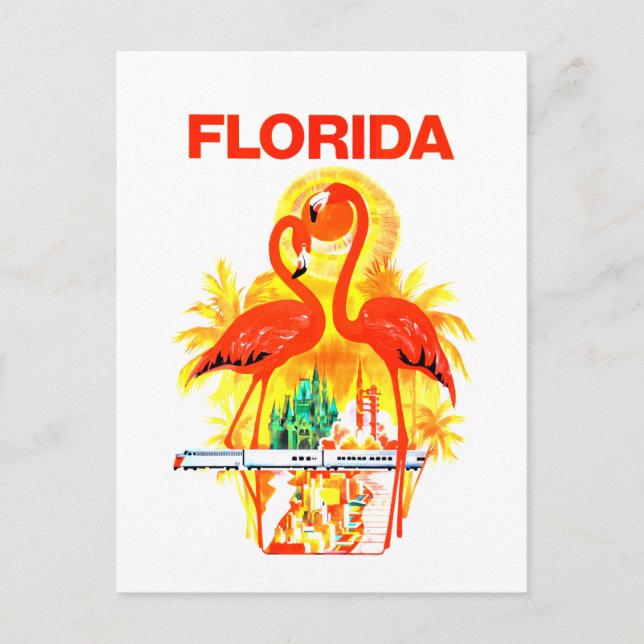 Vintage Florida Flamingos Travel Postcard (Front)