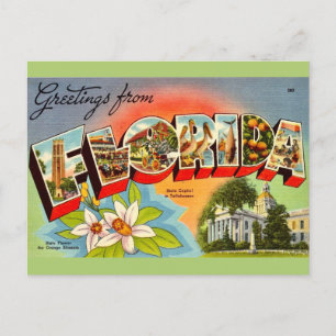 Vintage Florida Greeting Postcard