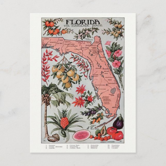 Vintage Florida Map Post Card (Front)