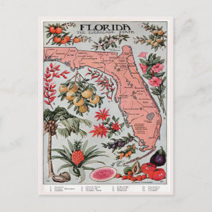 Vintage Florida Map, the Everglade State Travel Postcard