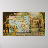 Vintage Florida Map with Illustrations (1890)