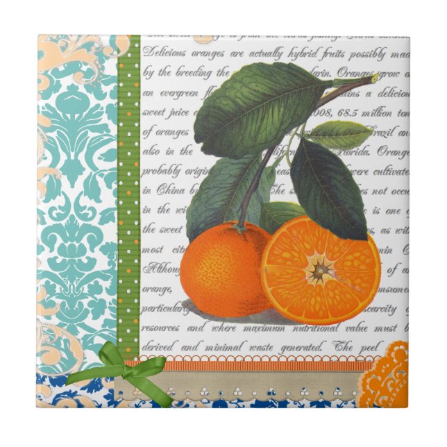 Vintage Florida Orange Fruit kitchen tile (Front)