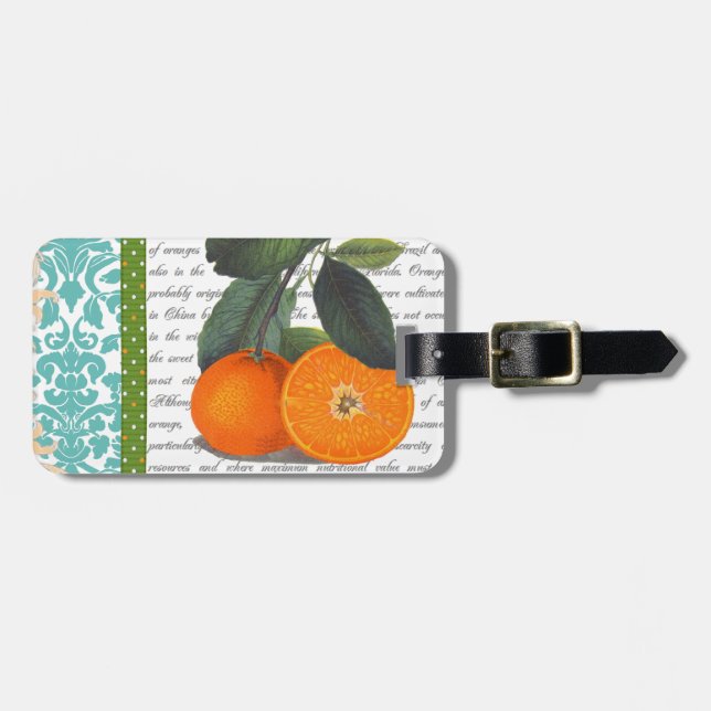 Vintage Florida Orange Fruit luggage tag (Front Horizontal)