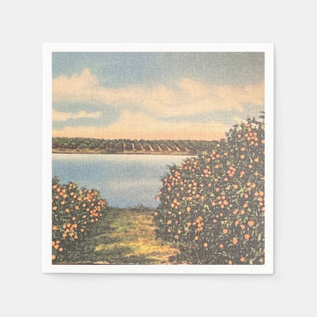 Vintage Florida Orange Grove Napkin (Front)