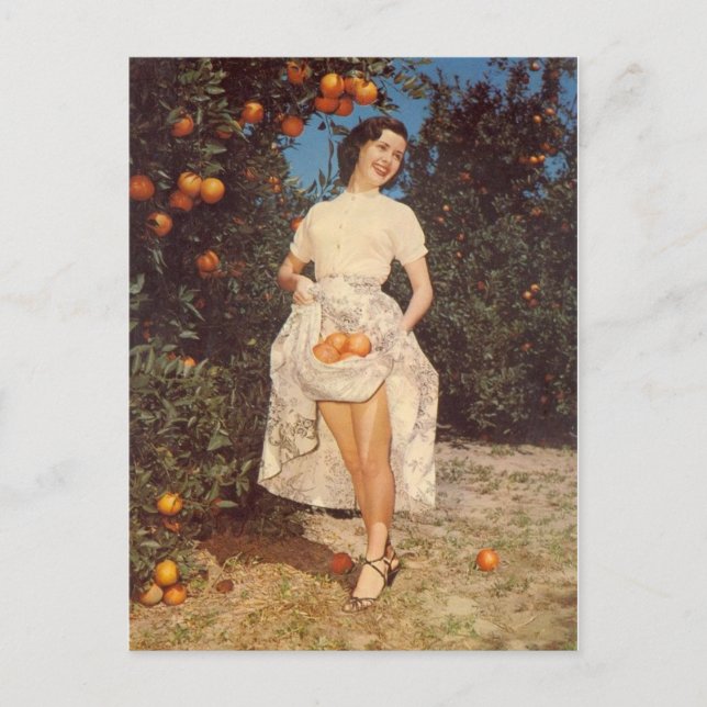 Vintage Florida Oranges Post Card (Front)