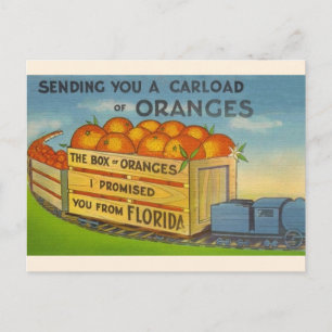 Vintage Florida Oranges Postcard