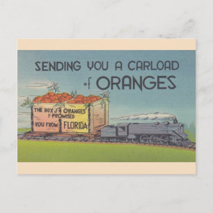 Vintage Florida Oranges Postcard