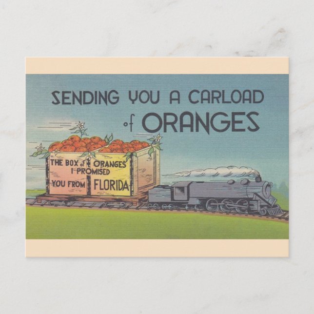 Vintage Florida Oranges Postcard (Front)