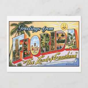 Vintage Florida Postcard