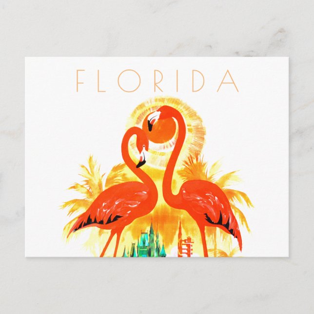 Vintage Florida travel postcard flamingos mid cent (Front)