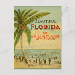 Vintage Florida Winter Playground Postcard