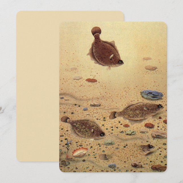 Vintage Flounders Flat Fish Fishing Invitation (Front/Back)