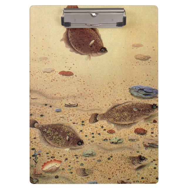 Vintage Flounders, Marine Ocean Life Flat Fish Clipboard (Front)