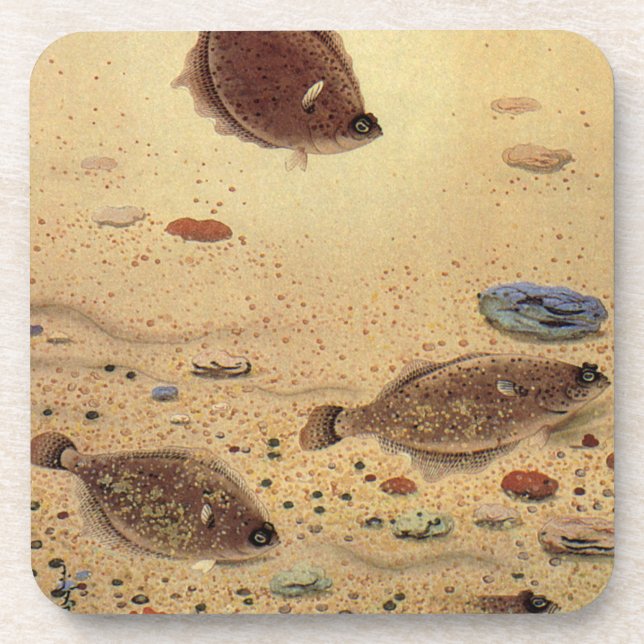 Vintage Flounders, Marine Ocean Life Flat Fish Coaster (Front)