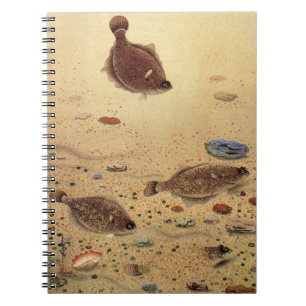Vintage Flounders, Marine Ocean Life Flat Fish Notebook