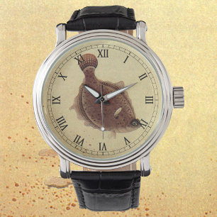 Vintage Flounders, Marine Ocean Life Flat Fish Watch