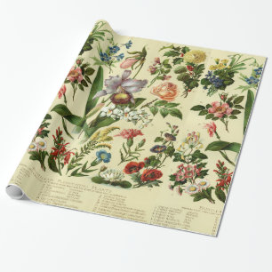Vintage Flower Botanicals Wrapping Paper