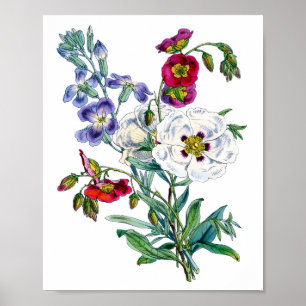 Vintage Flower Bouquet Watercolor Poster