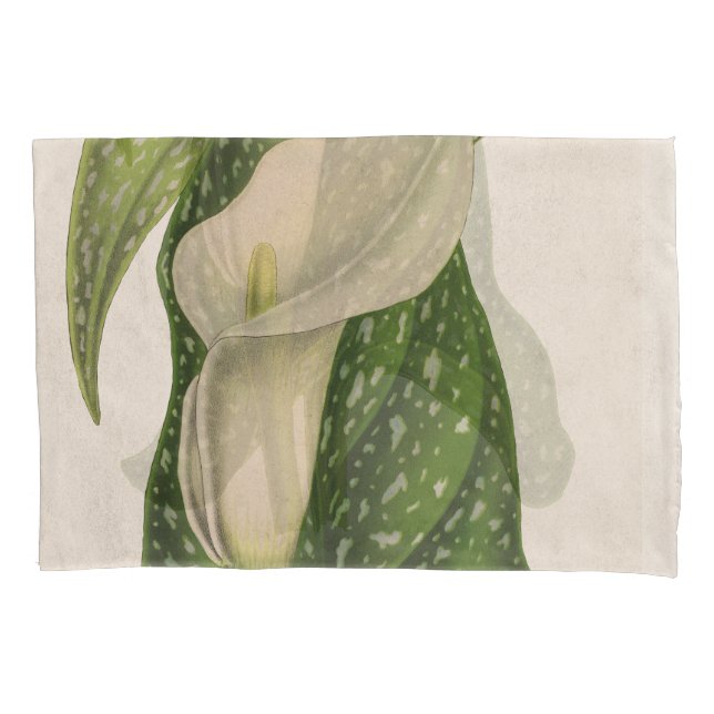 Vintage Flower Calla Lily Green Leaves Closeup Pillowcase (Front)