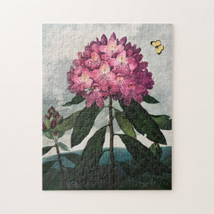 Vintage Flower Illustration  Jigsaw Puzzle