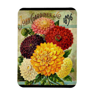 Vintage Flower Seed Packet- Flexi Magnet