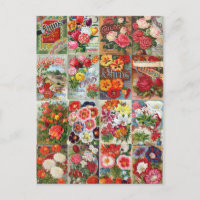 Vintage Flower Seed Packets Garden Collage